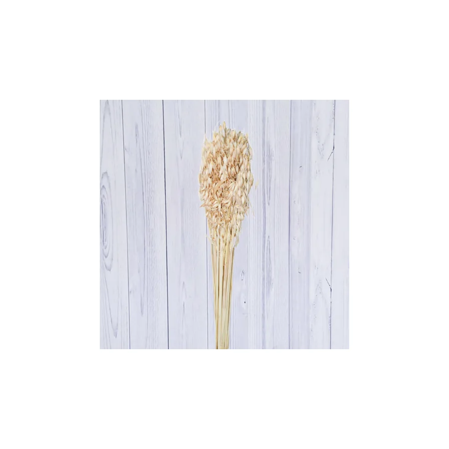 Dried & Bleached Flowers